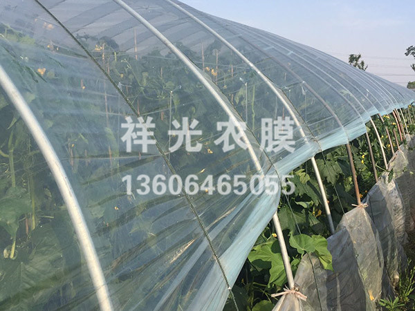 PE塑料薄膜的防雾化